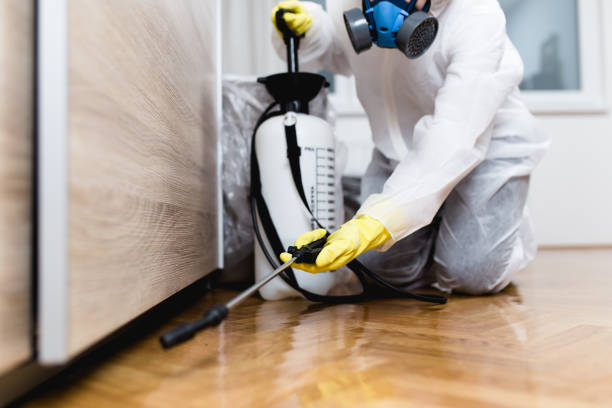 Best Best Pest Control Companies  in Dilkon, AZ