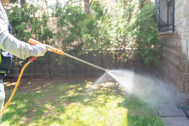 Best Exterminator Services  in Dilkon, AZ